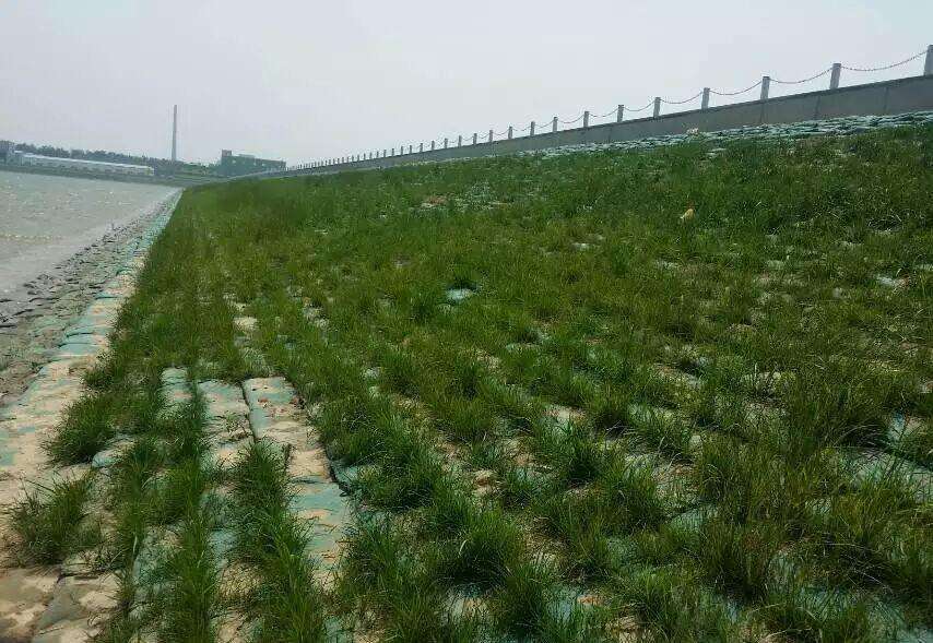 防治方案:生態(tài)修復(fù)目標(biāo)和原則
