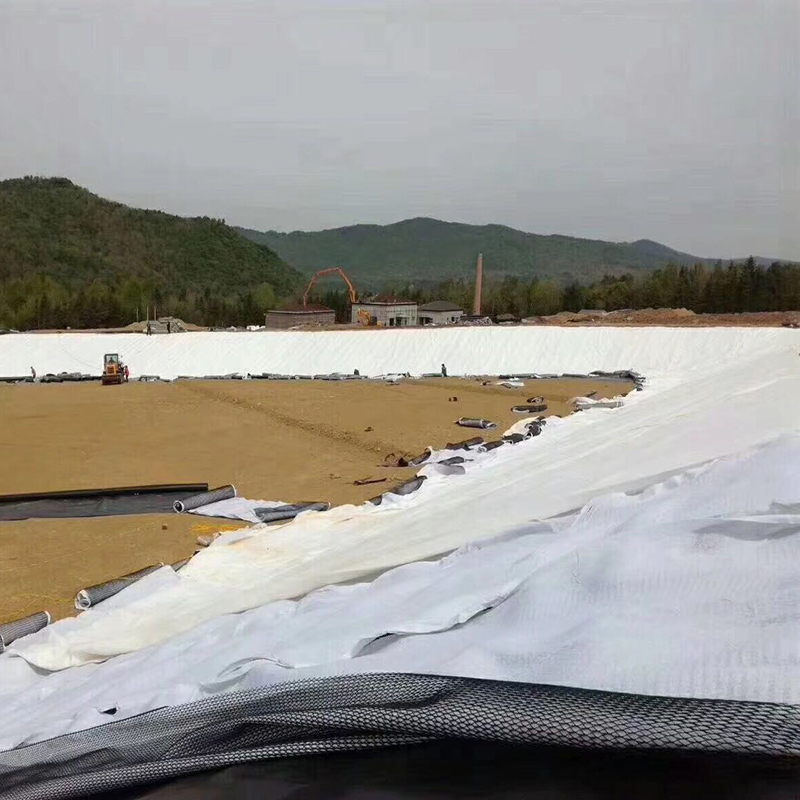 設(shè)計容積50萬m3的調(diào)蓄水池防滲體采用方式？